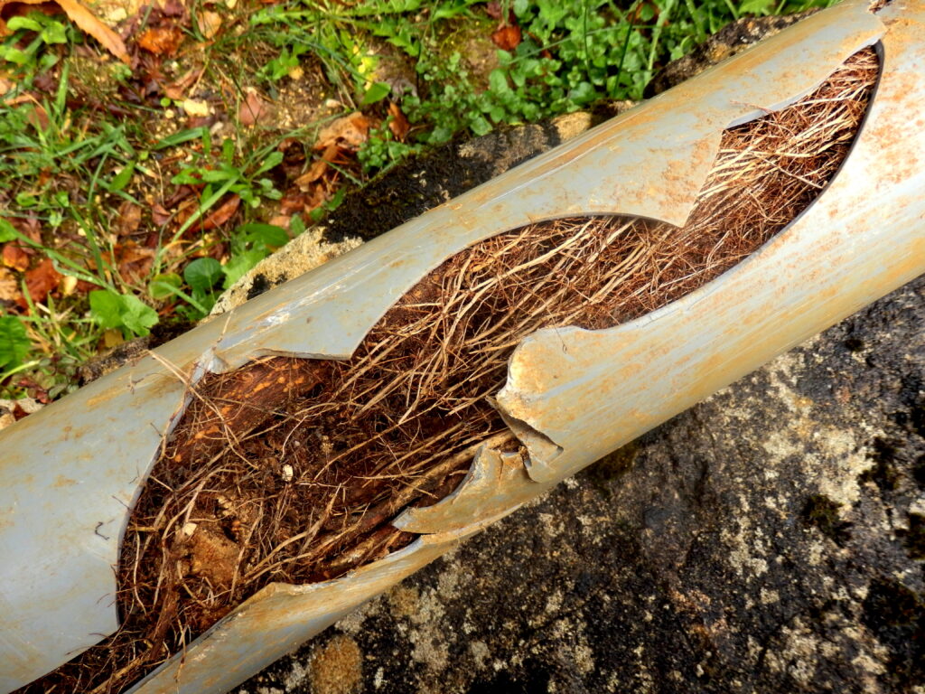 drain repair, cracked drain, drainage issues, environmental, north east, northumberland